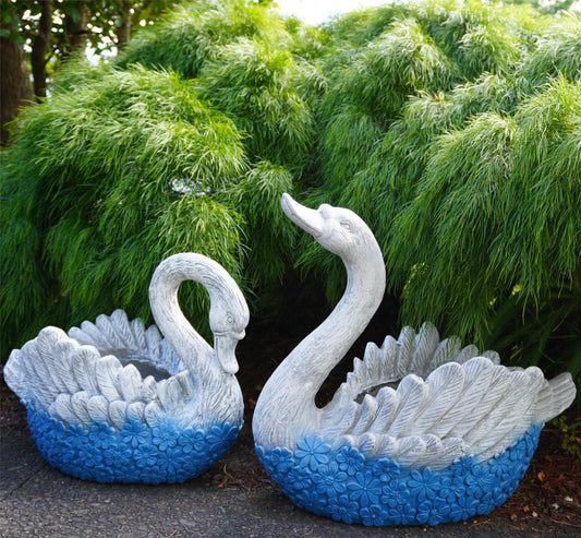 Feathered Beauty Planter